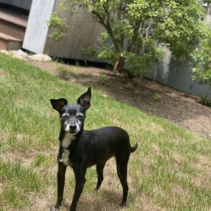 Team Page: Lucy’s Crew